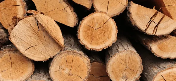 Comparativa de tipos de suelo de parquet y tarimas de madera