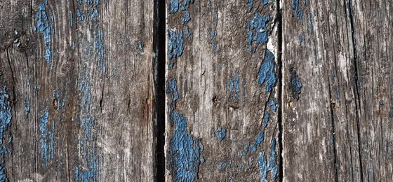 Revestimiento de madera para techos y paredes